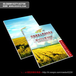 專(zhuān)業(yè)PSD建筑陶瓷行業(yè)畫(huà)冊(cè)設(shè)計(jì) 素材、模板與廣告設(shè)計(jì)要點(diǎn)